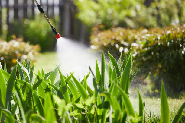 24/7 Emergency Mosquito Control experts in Surgoinsville, TN